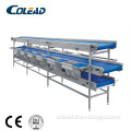 Multifunctional selecting vegetable processing conveyor